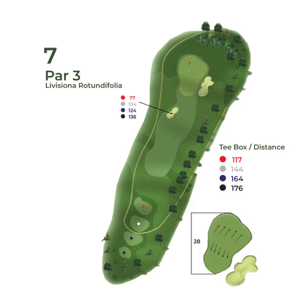 Peta Hole 7