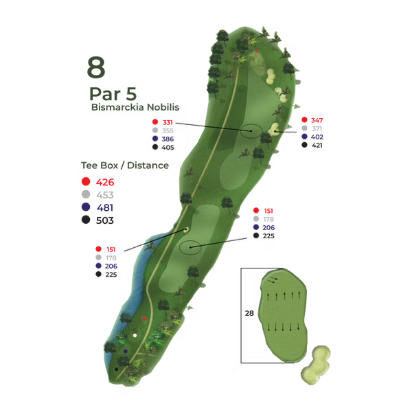 Peta Hole 8