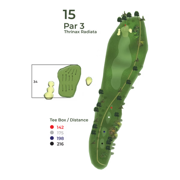 Peta Hole 15